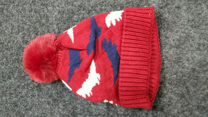 Dino Woolen caps